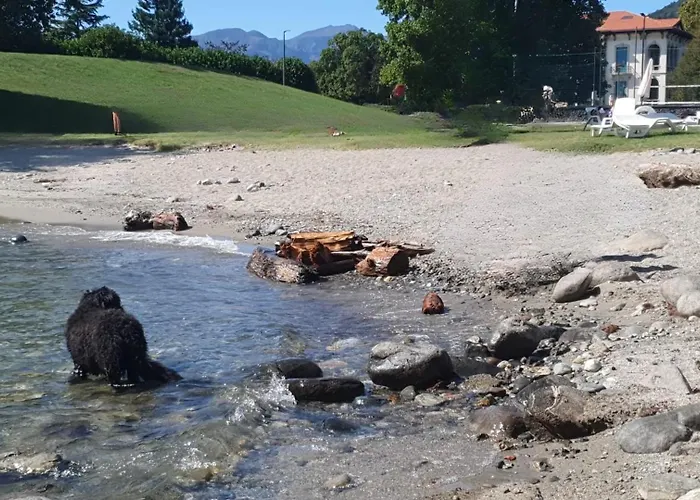 Casa Di Grazia Apartman *